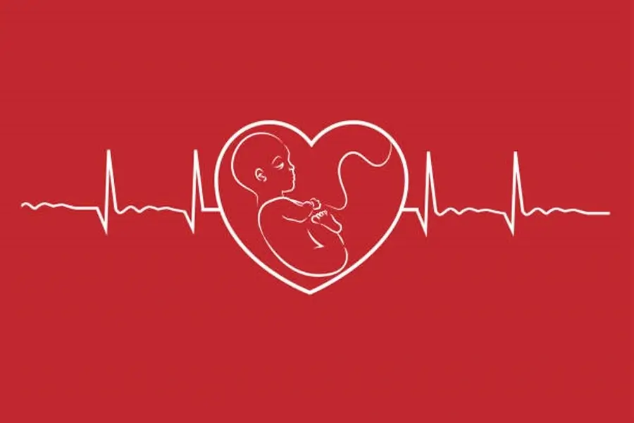 Heart Rate During Pregnancy
